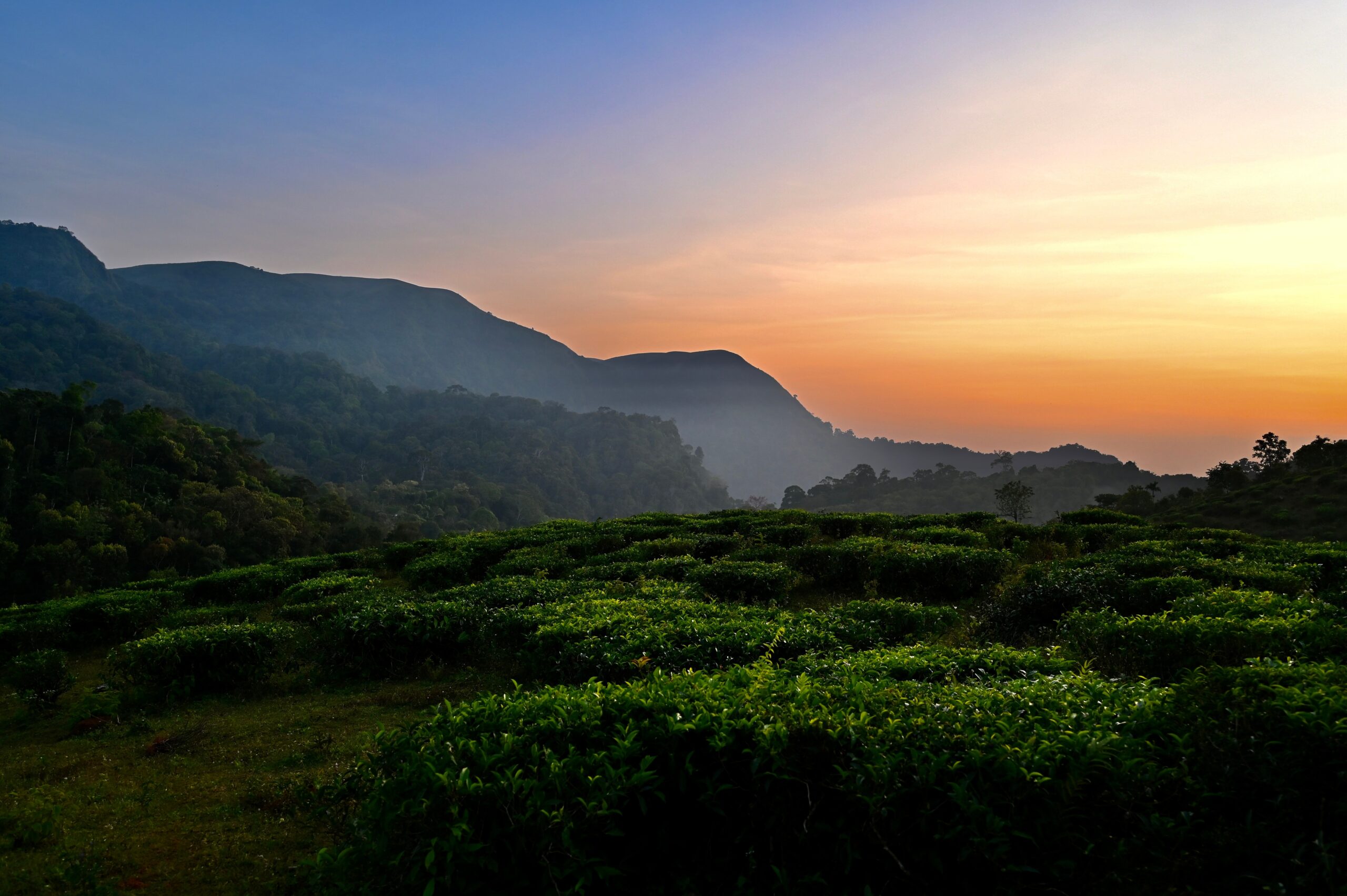 Beautiful,Sunset,In,Thekkady,Kerala